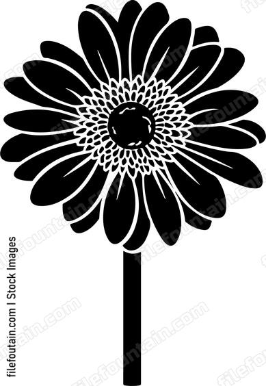 Gerbera Flower