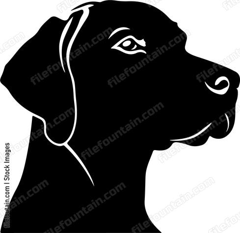 German Shorthaired Pointer
