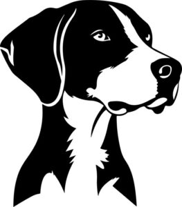 German Shorthaired Pointer