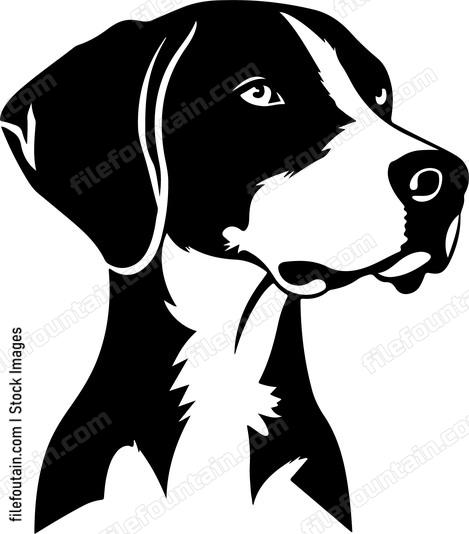 German Shorthaired Pointer