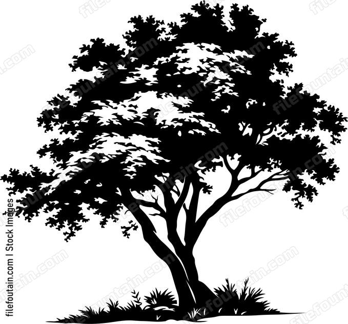 Giant Forest Tree