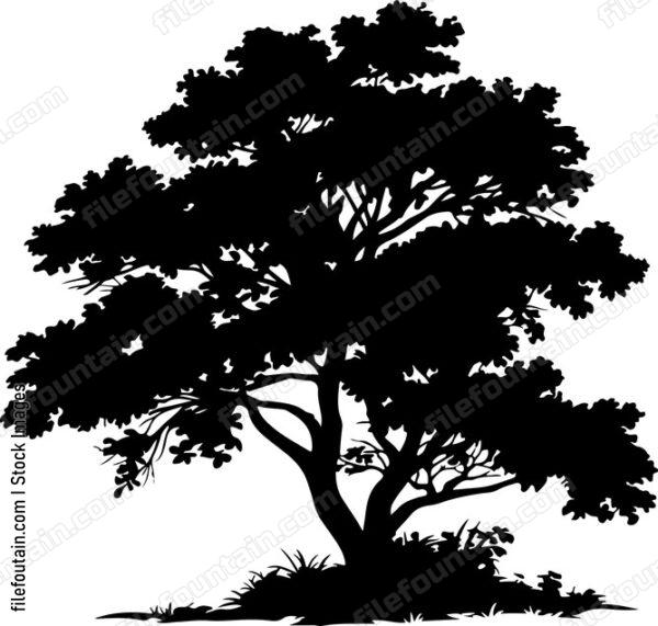 Giant Forest Tree