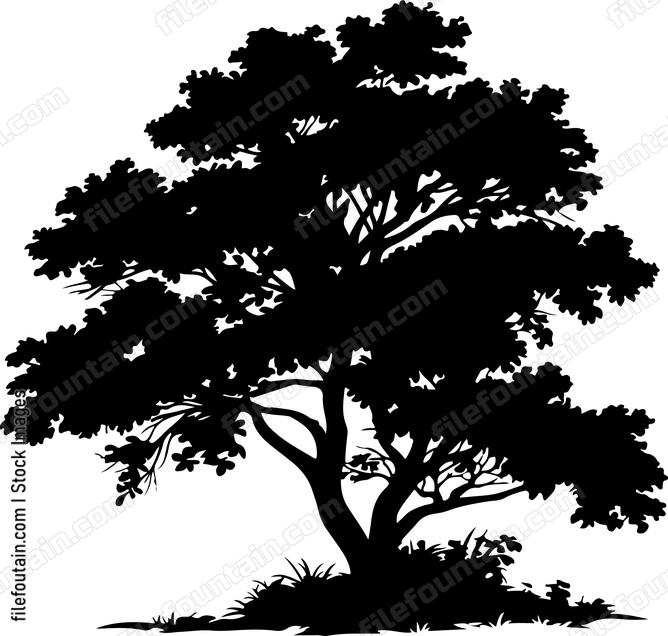 Giant Forest Tree