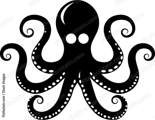 Giant Octopus