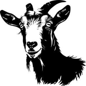 Goat