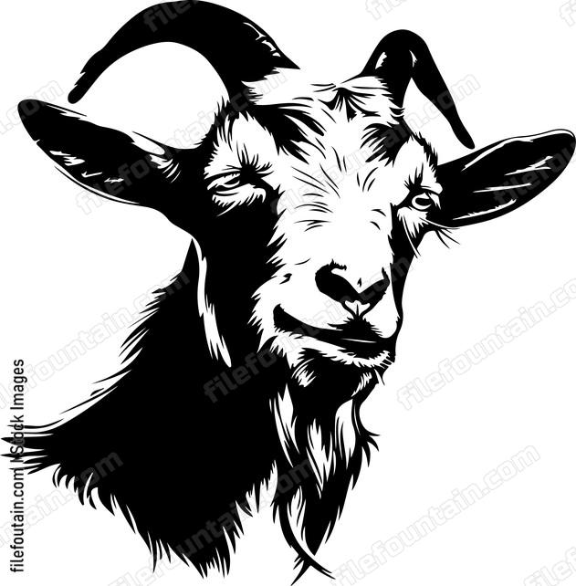 Goat head sketch