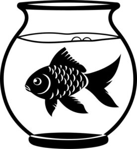 Goldfish Fishbowl