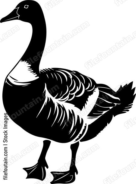 Goose