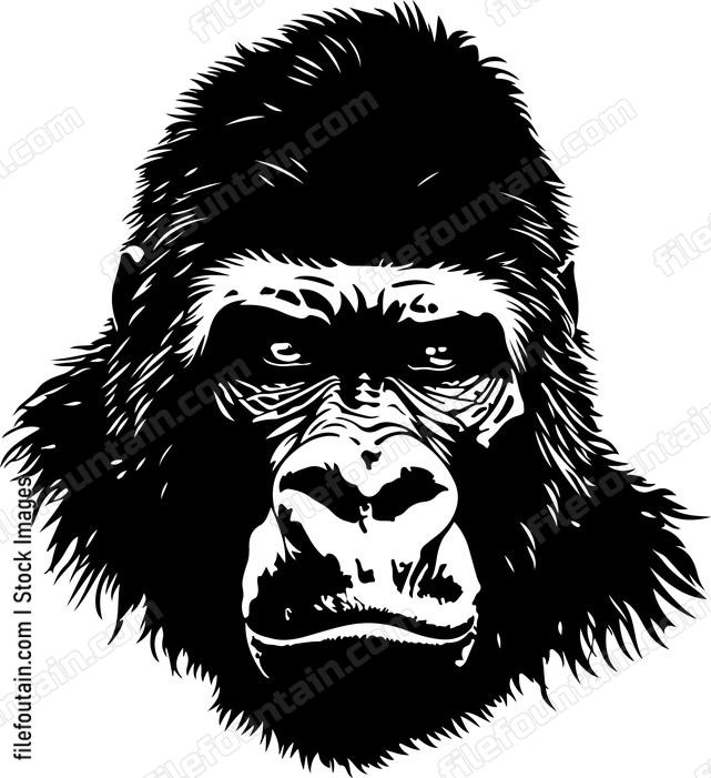 Gorilla