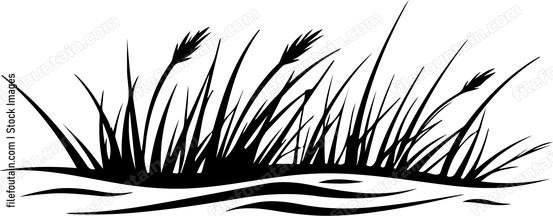 Grassland Landscape