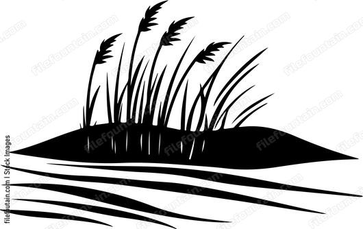 Grassland Landscape