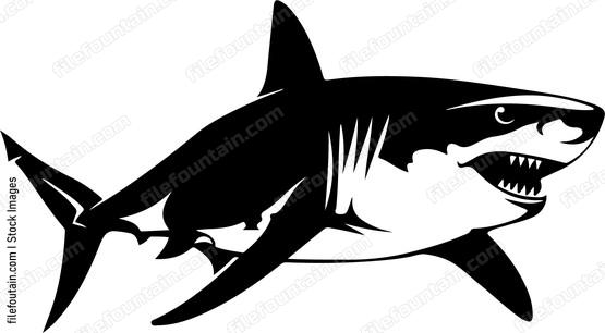 Great White Atacking