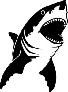 Great White Atacking