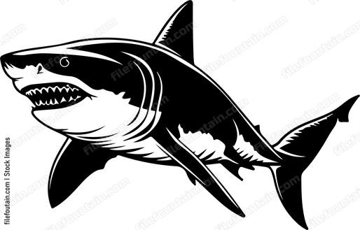 Great White Shark