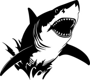 Great White Shark Attack