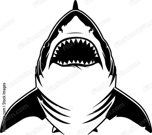 Great White Shark Front
