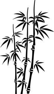 grove of bamboo stalks