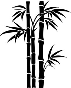 grove of bamboo stalks