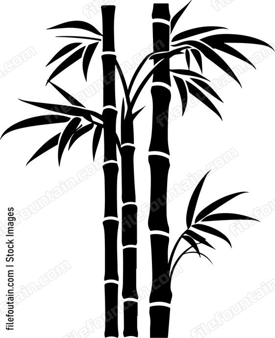 grove of bamboo stalks