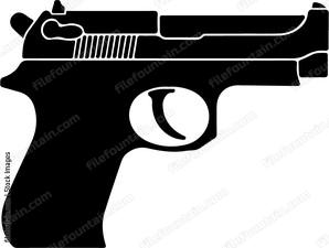 Gun