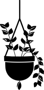 Hanging plant in pot