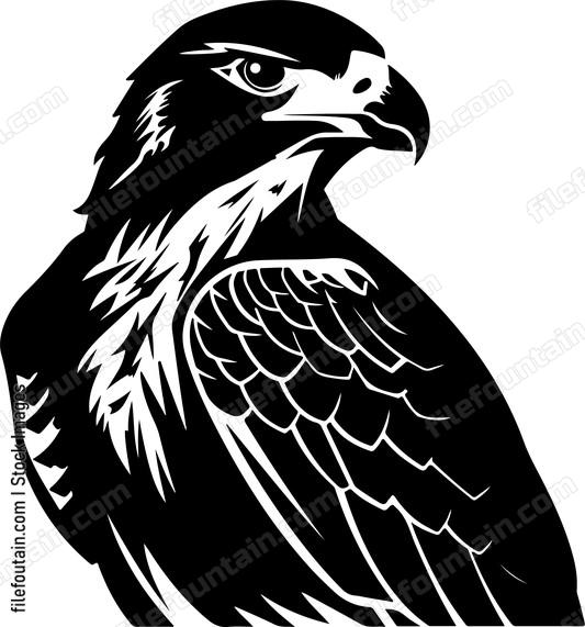 Hawk