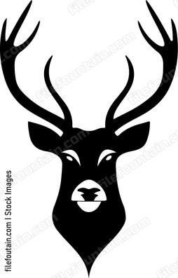 Head of deer
