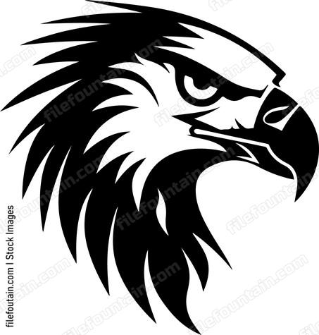 Head of eagle