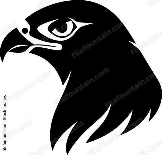 Head of falcon