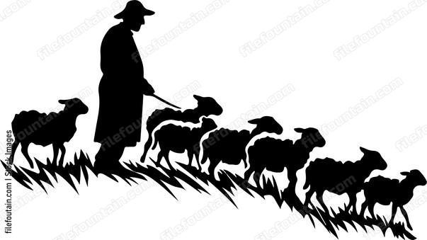 Herd Of Sheep And Shepherd