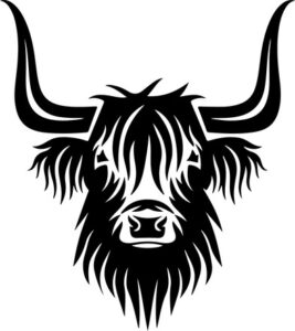 Highland Cow