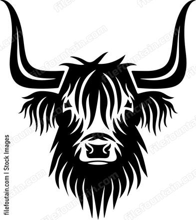Highland Cow