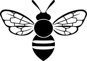 Honey Bee Close Up