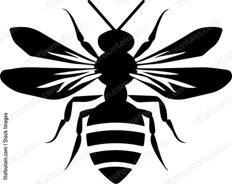 Hornet