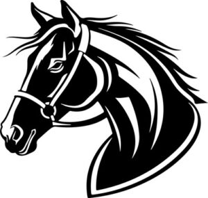 Horse head in bridle