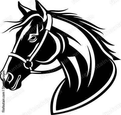 Horse head in bridle