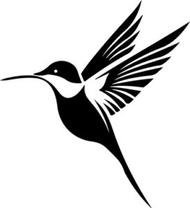 Humming Bird