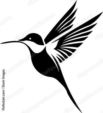 Humming Bird