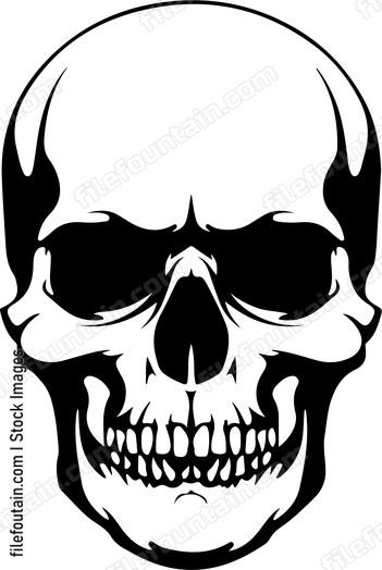 Humskull head bone