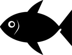 I Fish Therefore I Lie