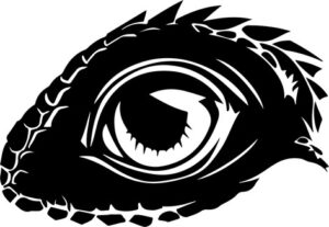 Iguana Eye