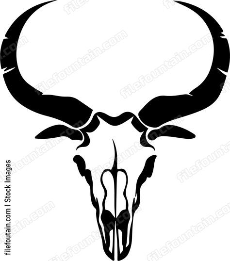Impala Skull
