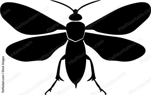 Insect Wings