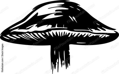 Japanese Mushroom