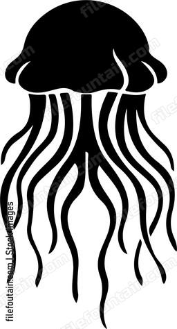 Jellyfish