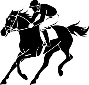 Jockey Horse Racing