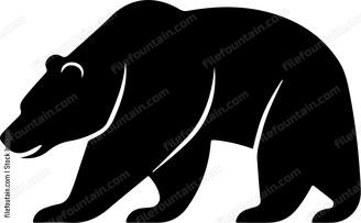 Large black bear walking