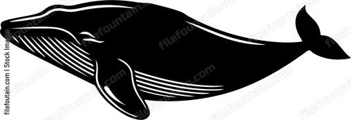 Large black whale