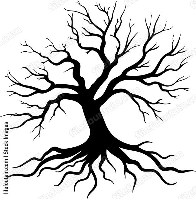 Large tree with roots