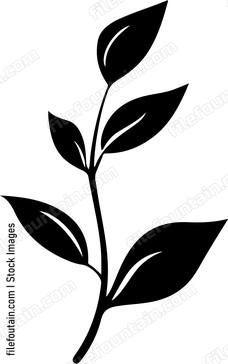 Leaf Branch